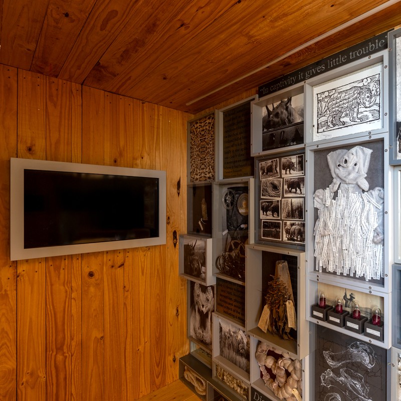 Ausstellungsansicht 
