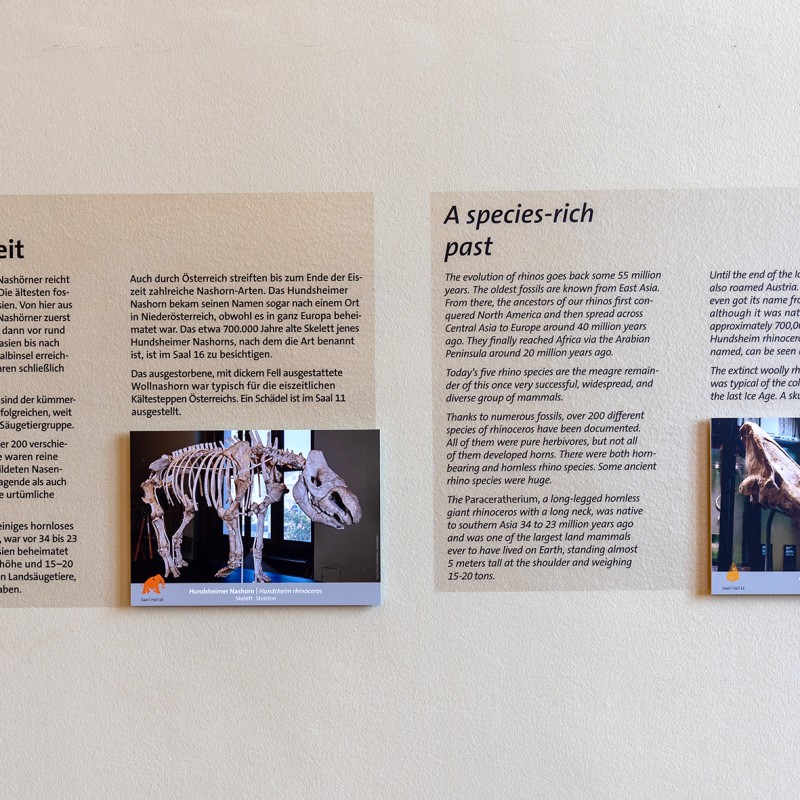 Ausstellungsansicht 