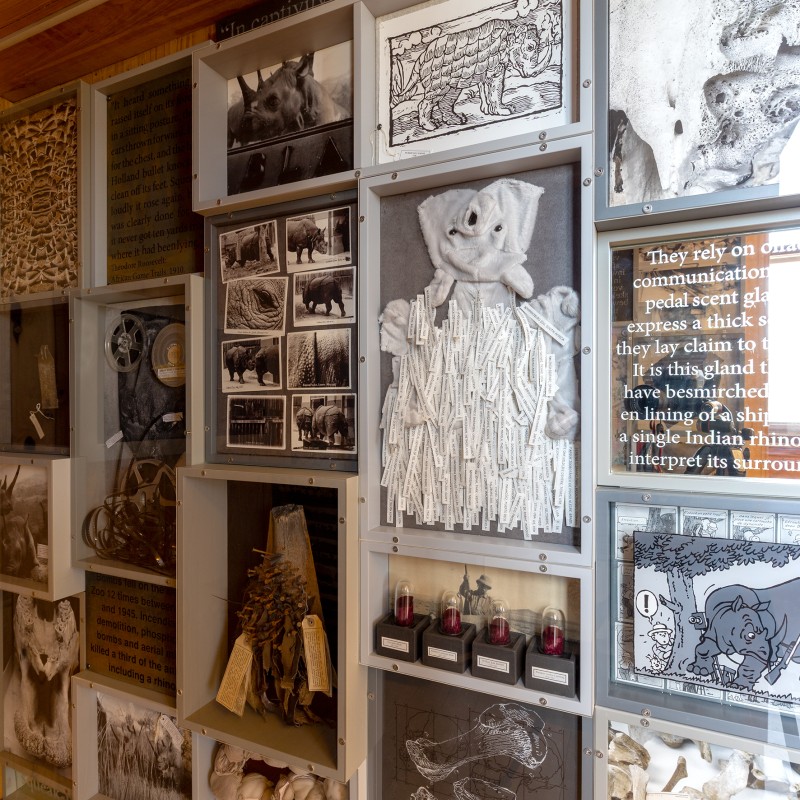 Ausstellungsansicht 