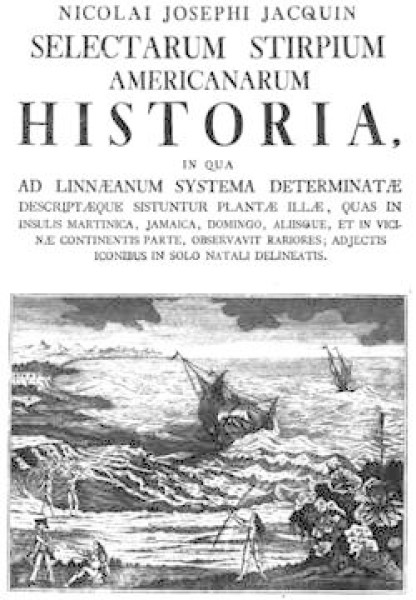 Selectarum Stirpium Americanarum Historia (Wien, 1763) Nikolaus Joseph von Jacquin 