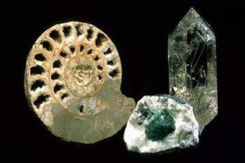 Kaiserammonit. Smaragdstufe und Bergkristall aus der Sammlung von Franz Stephan.